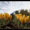 20060322_017